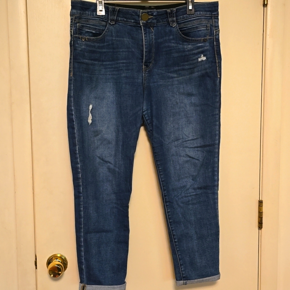 Democracy AbSolution High Rise Skinny Jean Tummy Control Top Waist 16 Plus Size